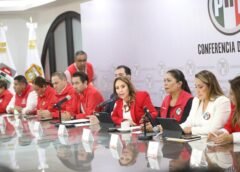 DEMANDA PRI LA ANULACIÓN DEL PROCESO ELECTORAL JUDICIAL